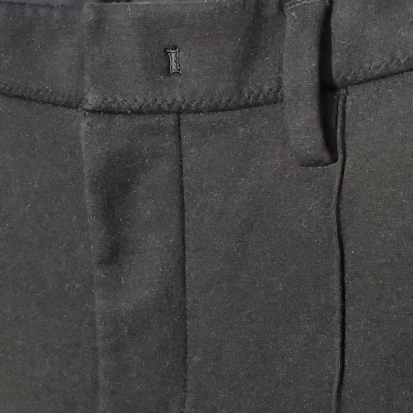 Kit and Ace "Phillips" Pleated viscose/silk Pant - Picture 10 of 10